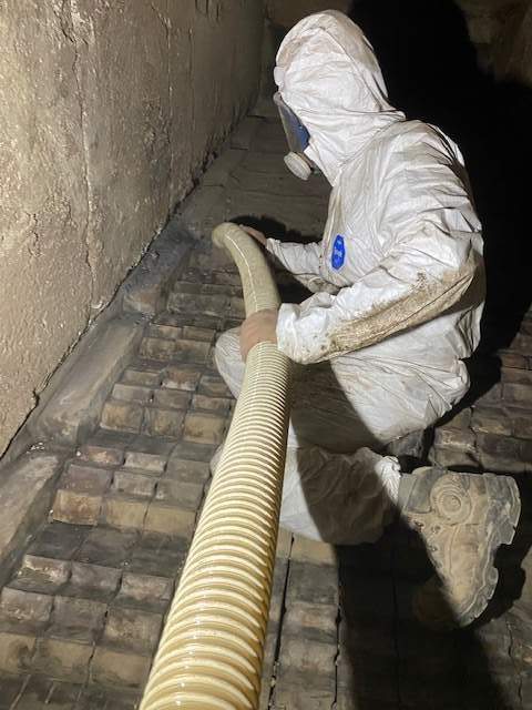 E3BF8145 95CC 4EFC 958C 3B25BD1AE6DB